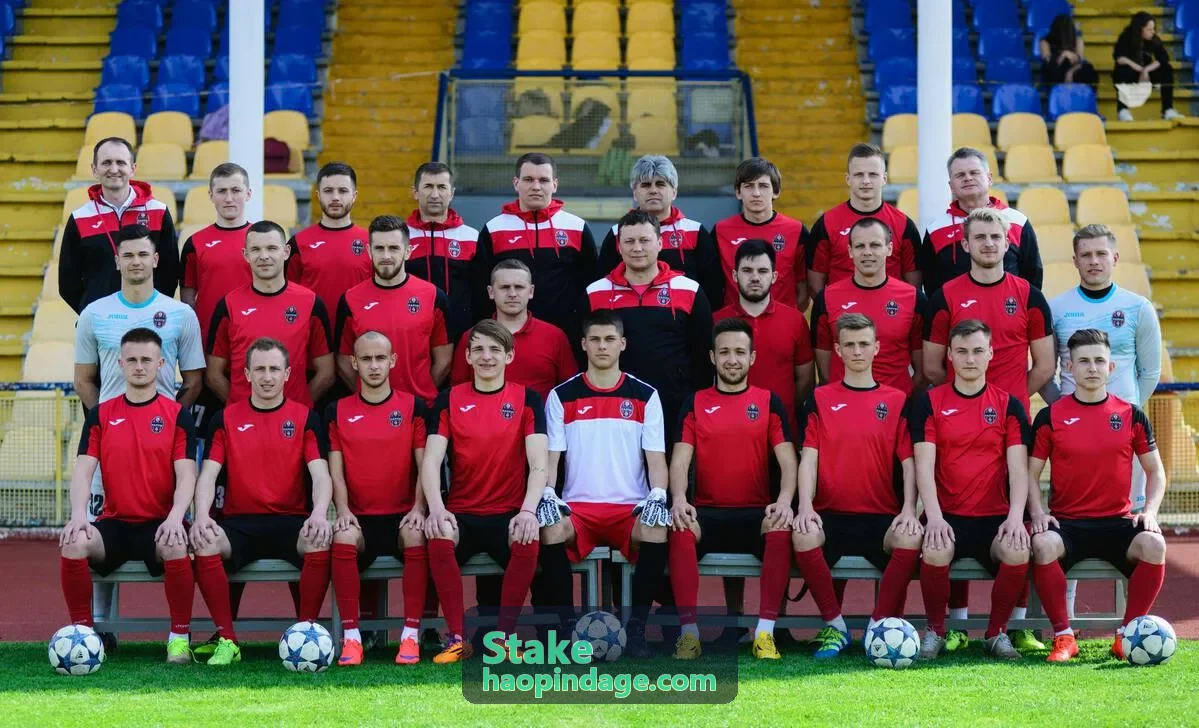 Stake 控制台预览