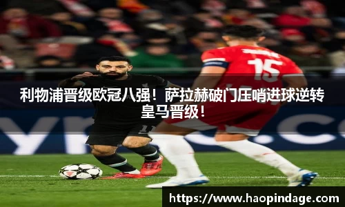 QY球友会
