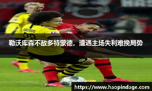 QY球友会官网