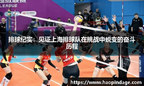QY球友会官方网站
