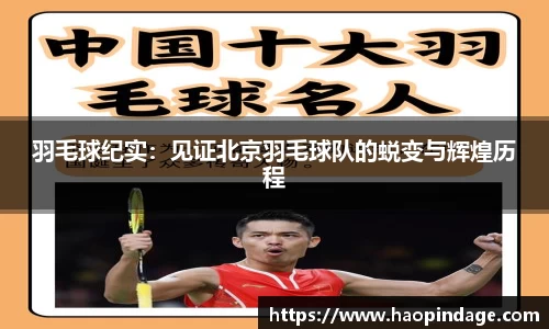 QY球友会