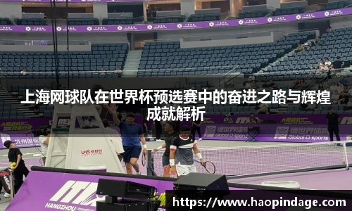 上海网球队在世界杯预选赛中的奋进之路与辉煌成就解析