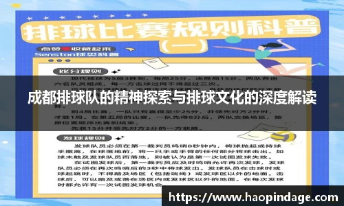 成都排球队的精神探索与排球文化的深度解读