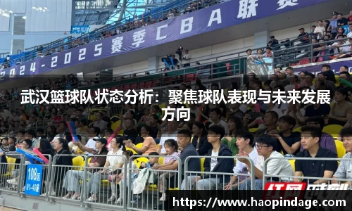 武汉篮球队状态分析：聚焦球队表现与未来发展方向
