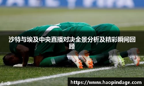 沙特与埃及中央直播对决全景分析及精彩瞬间回顾