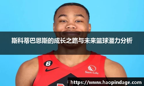 QY球友会官网