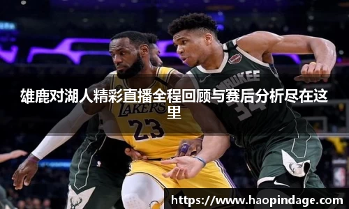 雄鹿对湖人精彩直播全程回顾与赛后分析尽在这里