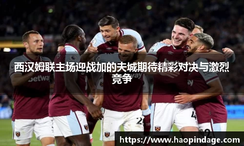 西汉姆联主场迎战加的夫城期待精彩对决与激烈竞争