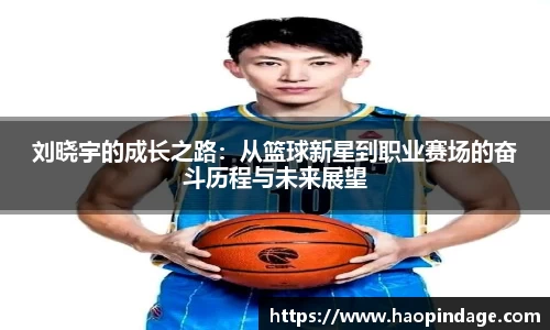 刘晓宇的成长之路：从篮球新星到职业赛场的奋斗历程与未来展望