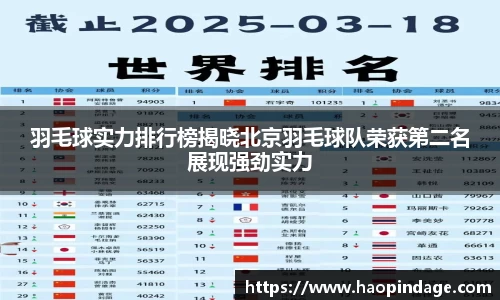 羽毛球实力排行榜揭晓北京羽毛球队荣获第二名展现强劲实力