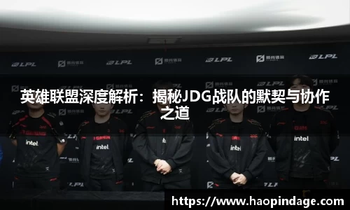 英雄联盟深度解析：揭秘JDG战队的默契与协作之道