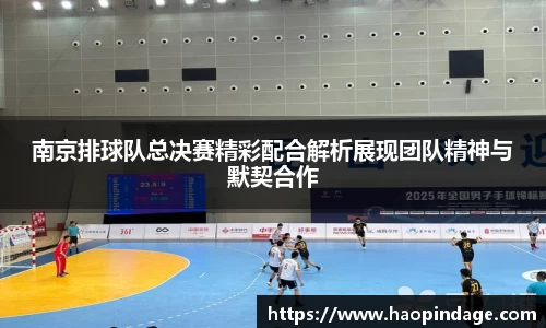 南京排球队总决赛精彩配合解析展现团队精神与默契合作